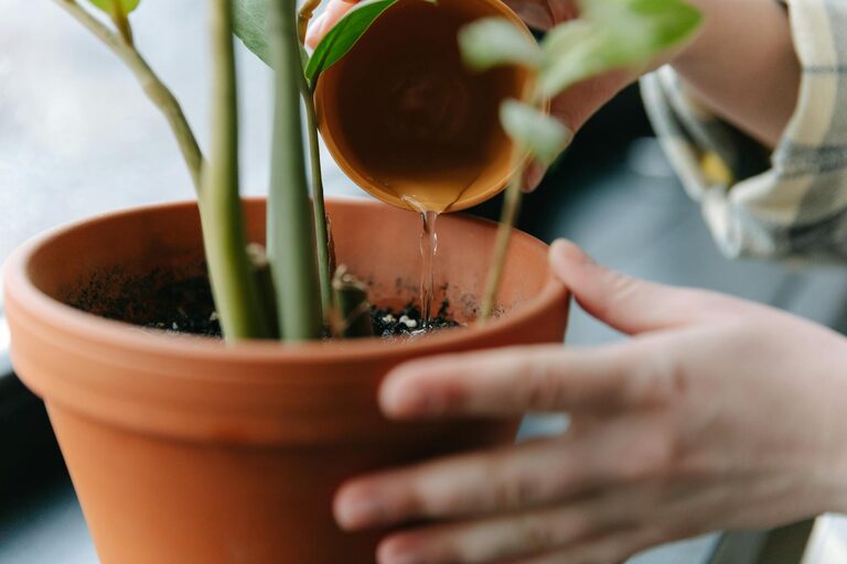 Tips for Keeping Houseplants Healthy and Thriving Indoors